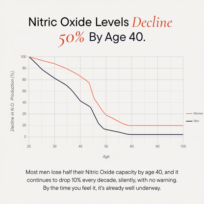 Nitric Oxide Support