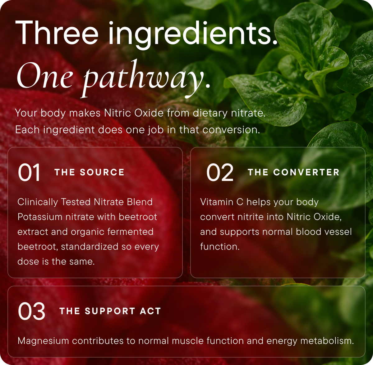 Nitric Oxide Support