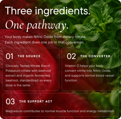 Nitric Oxide Support